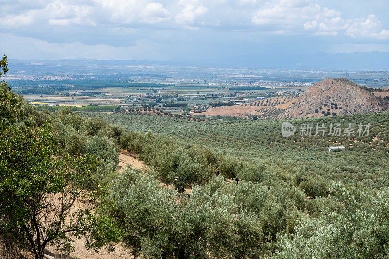 Camino Mozarabe位于格拉纳达和科尔多瓦之间的干旱和农业环境中，拥有无尽的橄榄树，小家庭农场坐落在树林中